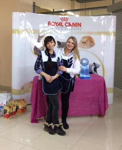 Выставка кошек в Вологде. Мы с Татьяной стюарды. 