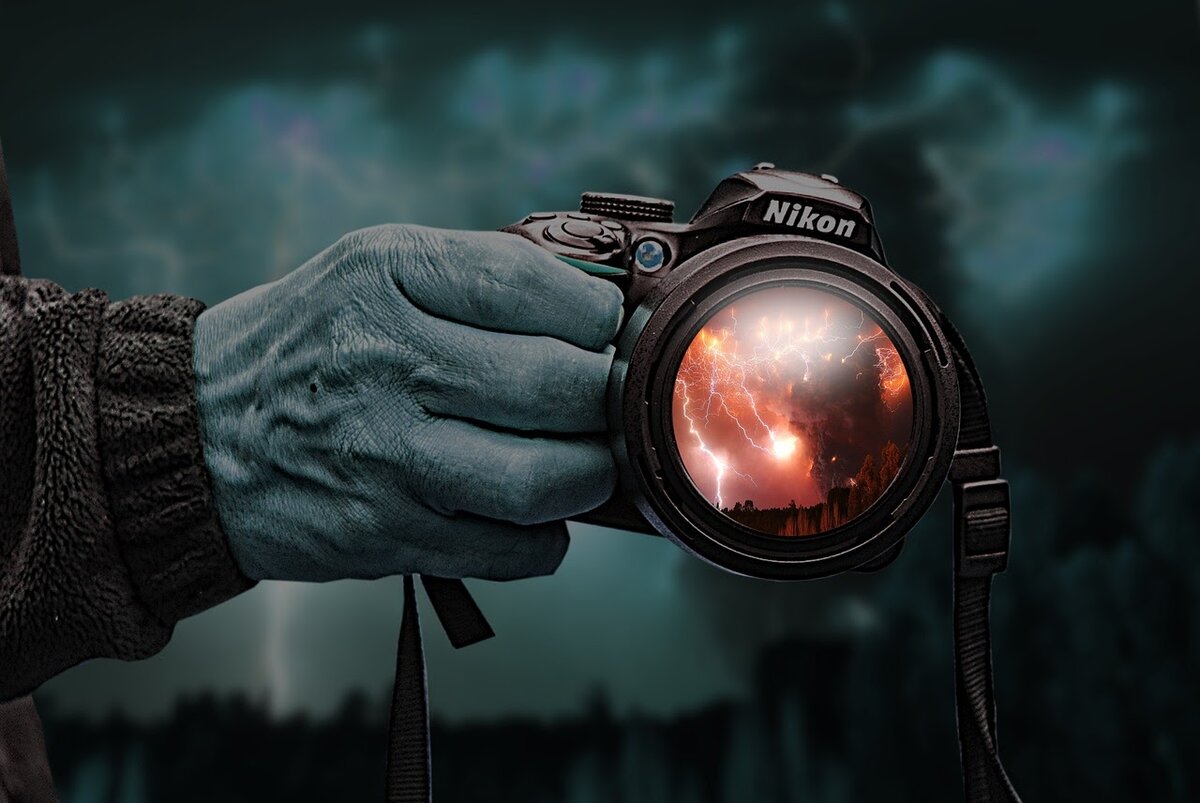 Фото: pixabay.com