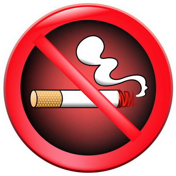 Photos from the Internet