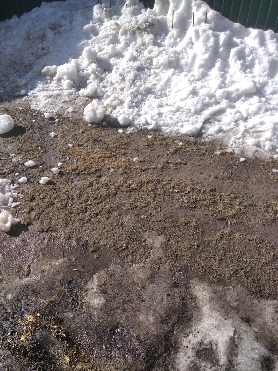 Сугробы у забора и напитанная водою земля в середине. Резиновые сапоги пока погружаются не по щиколотку, это будет позднее. Сугробы мы сегодня пораскидывали - помогли весеннему солнышку. Теплынь в 10 утра - о-о-о-о-о!!!!! 
