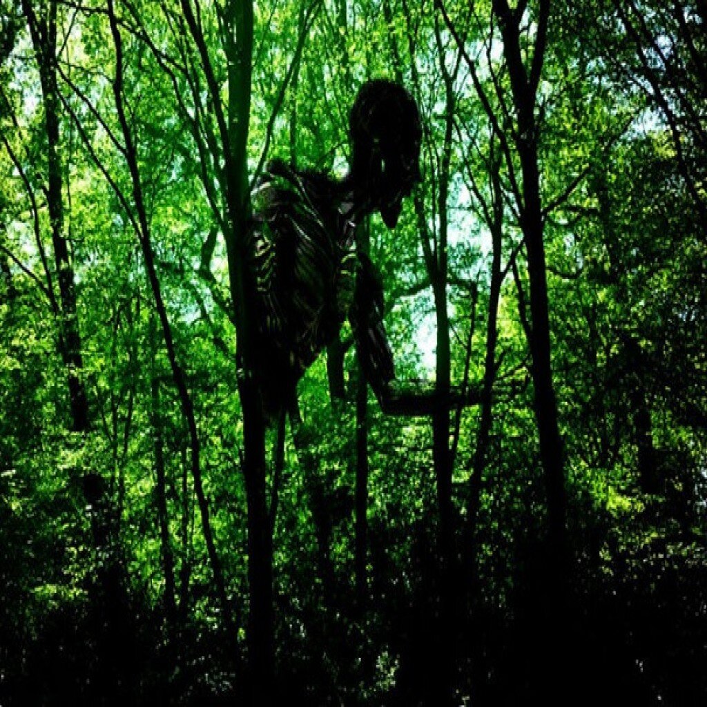 картинка взято из открытых источников 