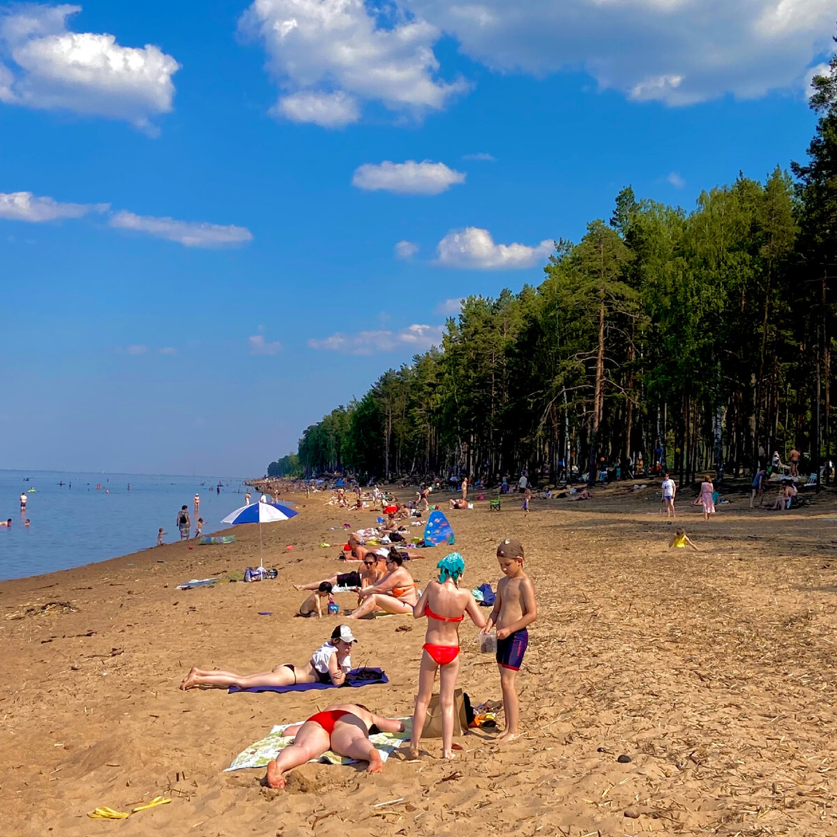 Пляж на бердском заливе с кроватями