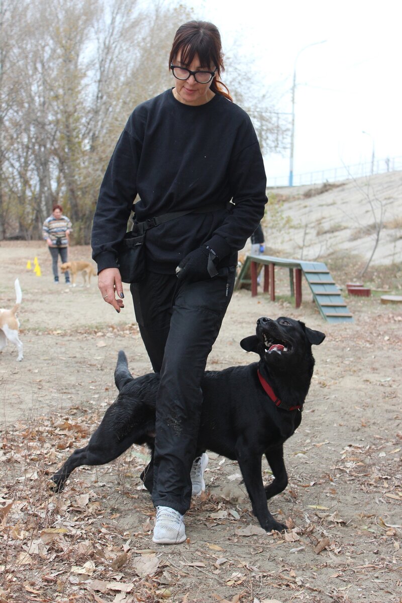 Ричи - образцовый домашний любимец