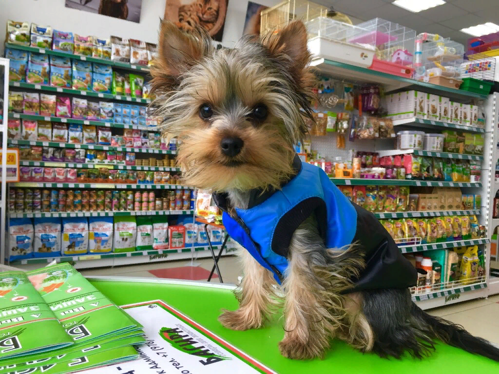 Фото взято из открытых источников интернета