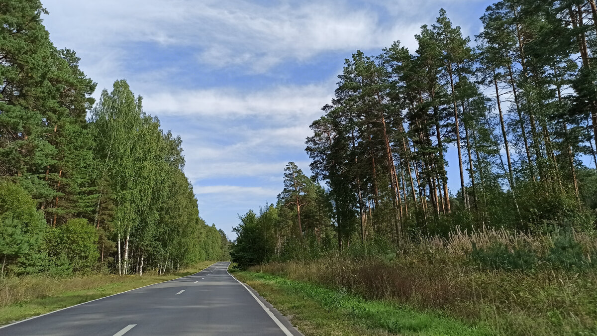 Дорога через леса. 