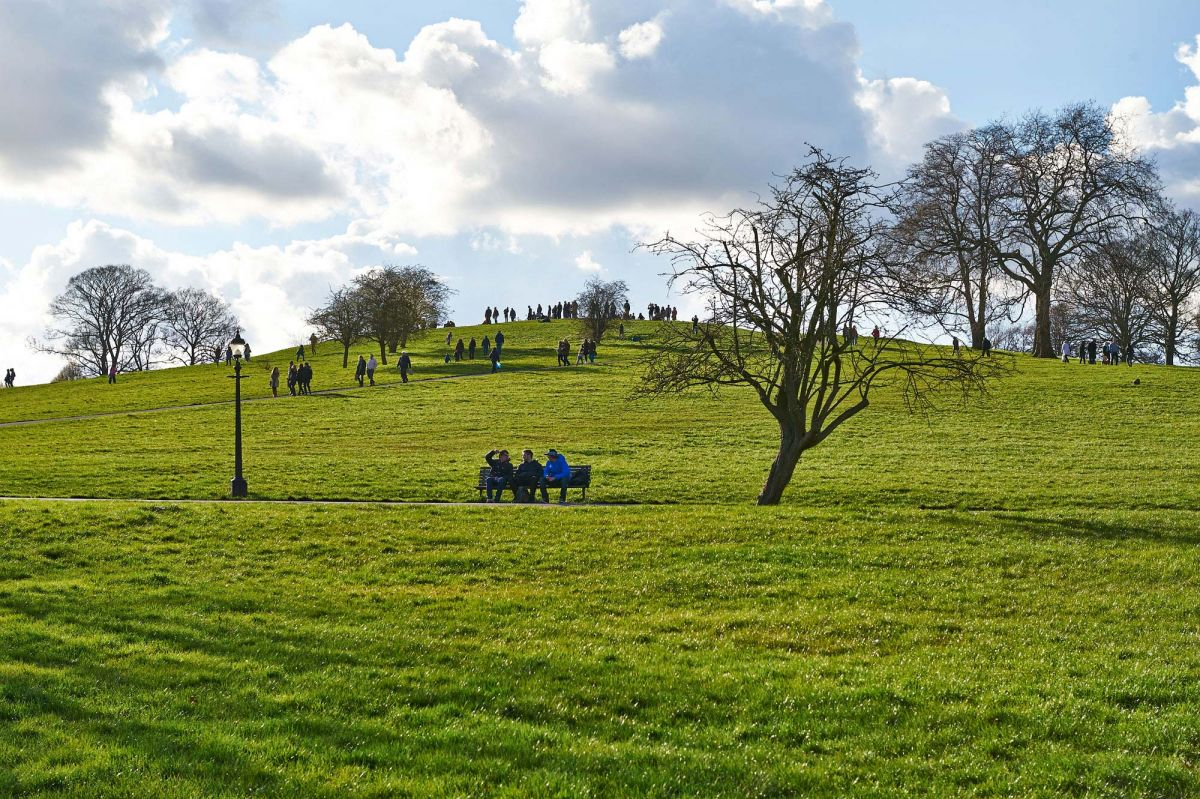 Поле пой. Primrose Hill (Примроуз-Хилл). Риджентс парк в Лондоне Примроуз Хилл. Примроуз Хилл в Риджент парке. Холм Хей-Хилл  Лондон