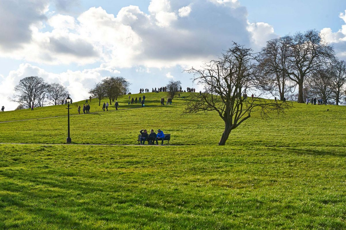 Поля в лондоне. Примроуз Хилл. Primrose Hill London. Риджентс парк и Примроуз Хилл. Примроуз Хилл фото.