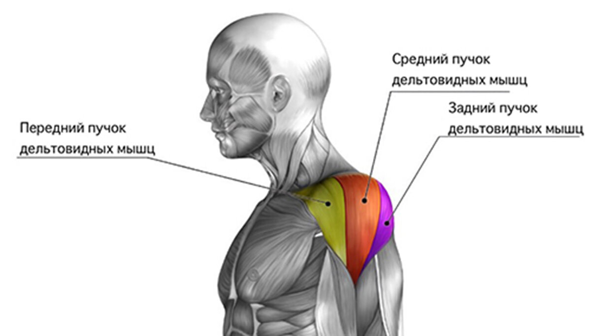 Гельминтоз