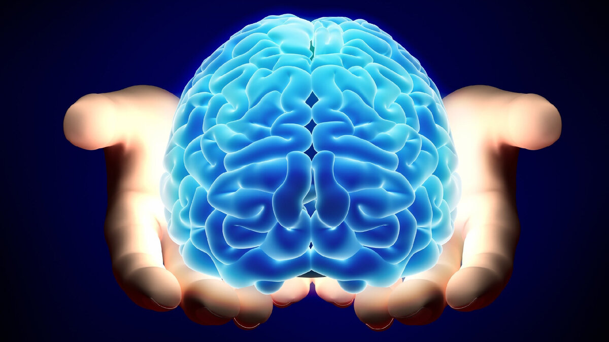 Почему у человека самый умный мозг? | Юрий Гичев | Дзен