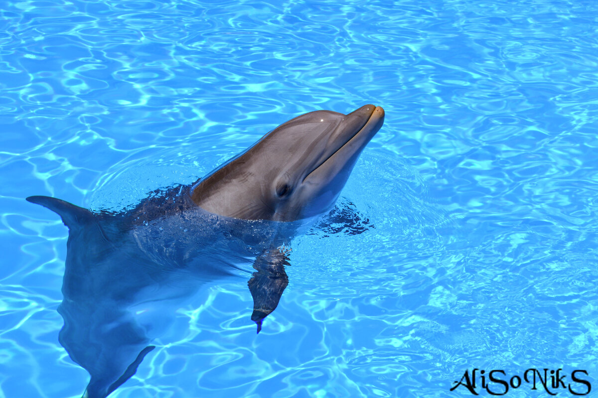 Photo by Damian Patkowski on Unsplash