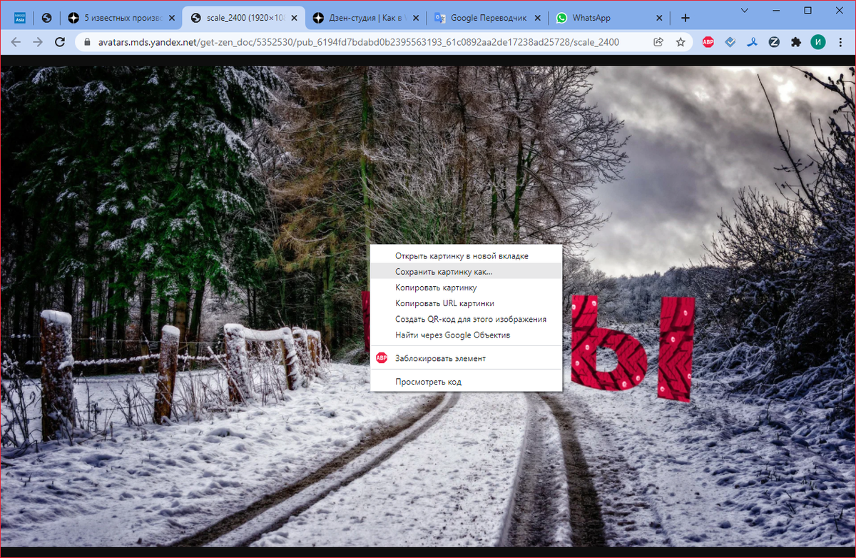 Как сохранить несохраняемые фото в Windows из браузера Google Chrome |  Дивный мир! | Дзен