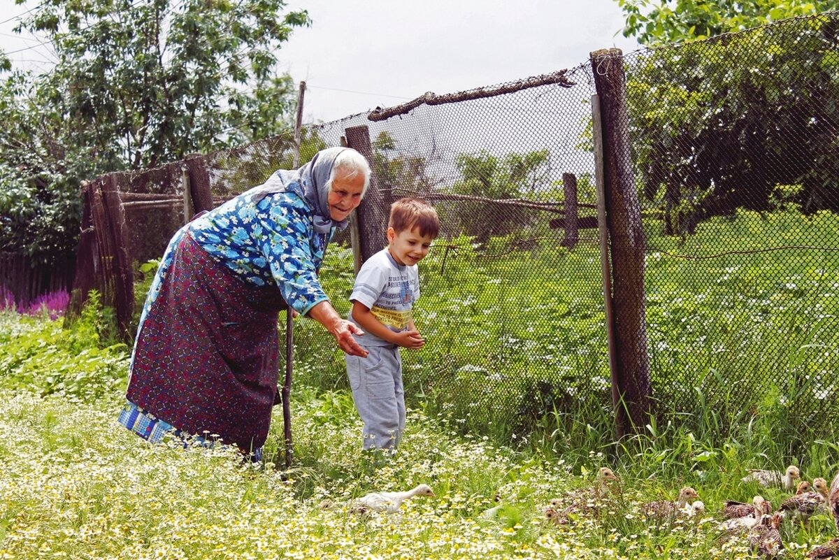 У бабушки в деревне картинки для детей