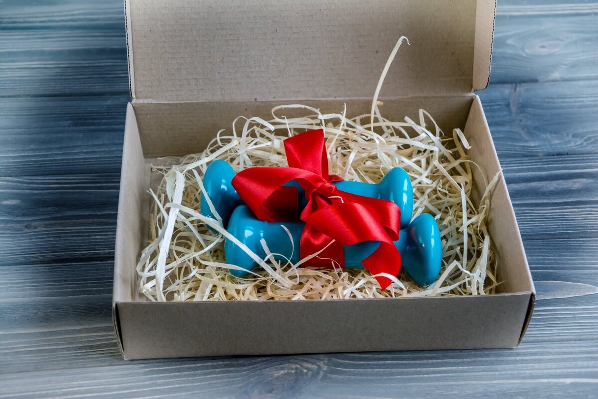 Фото: mixsport.pro