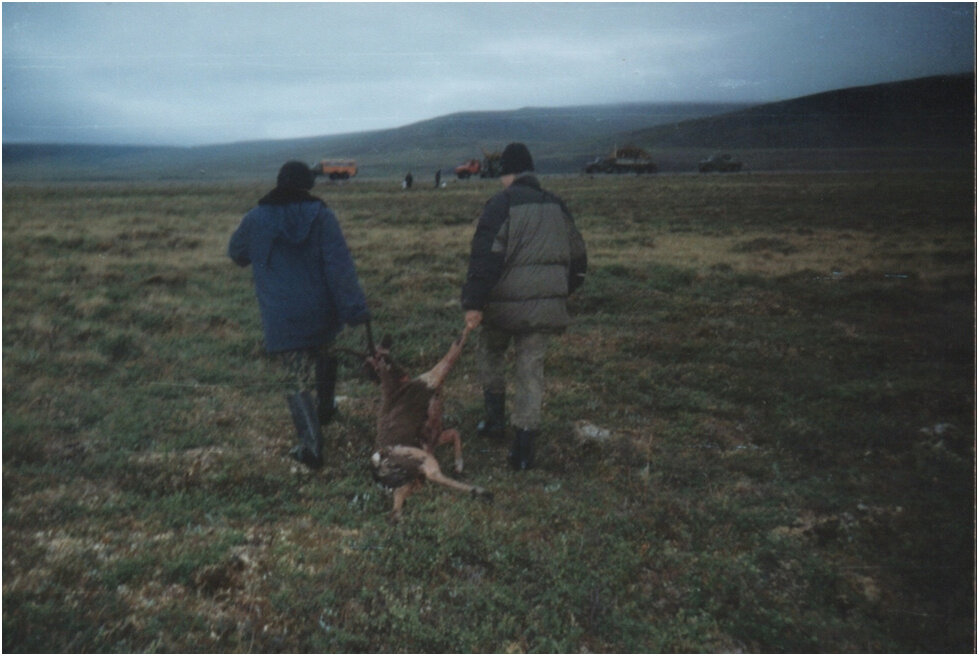 Прости нас Бог всех зверей. Но не развлечения ради, а ради пропитания человекоподобных, отдал олень свою душу