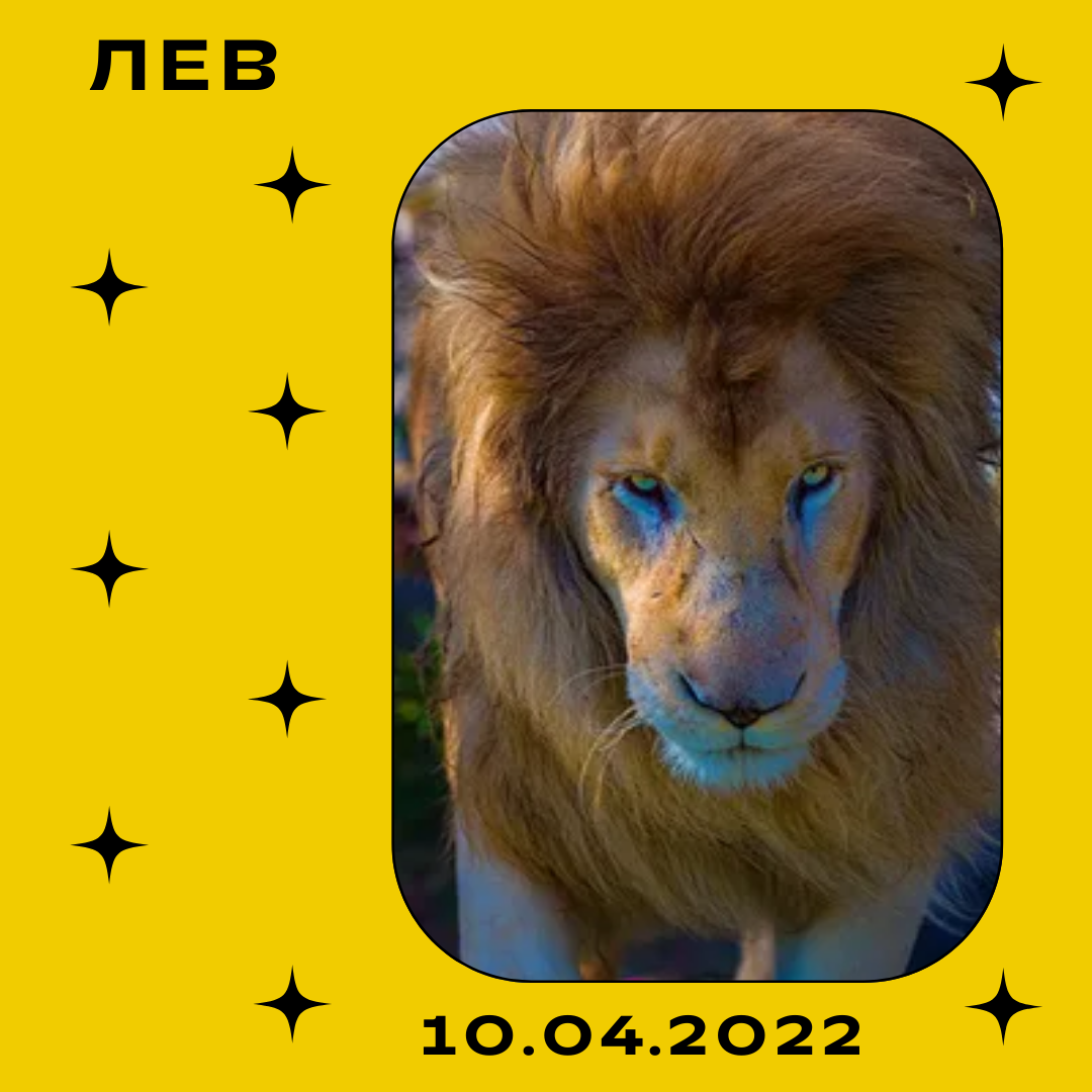 Лев - 10.04.2022