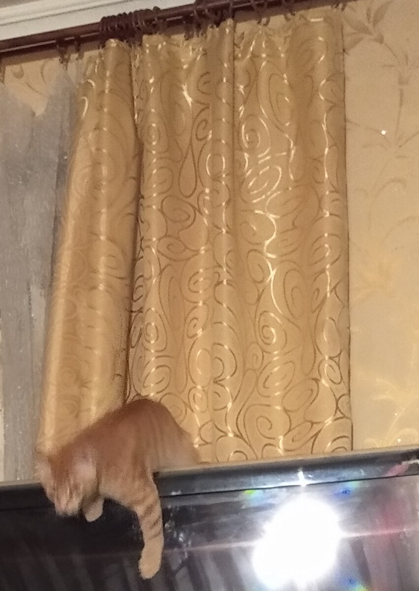 Личное фото.
