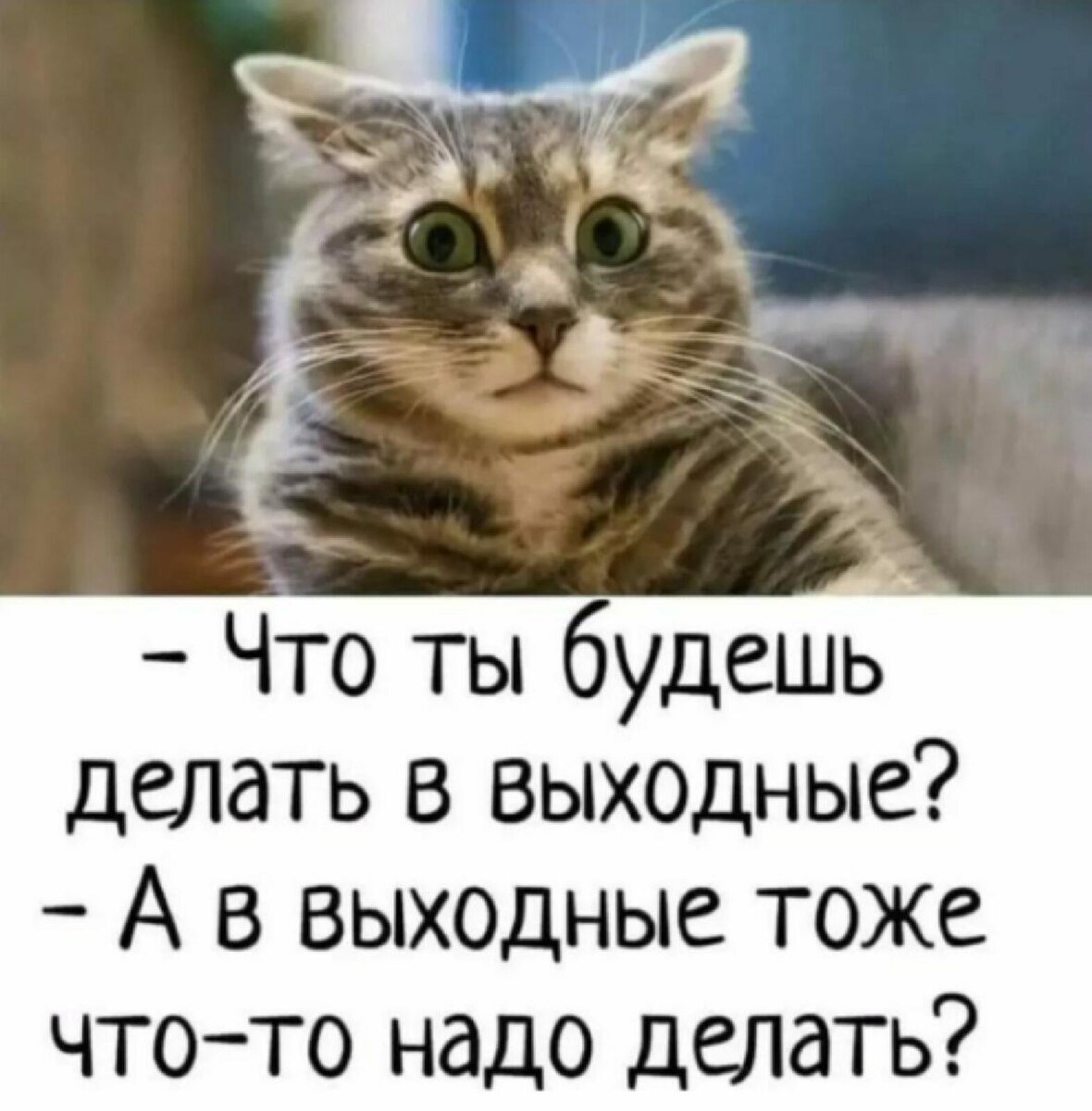 15 мая воскресенье
16 лунный день с 19:46 ч.(Мск.)
Луна продолжает свое движение по проницательному и недоверчивому знаку Скорпиона. Эмоциональный фон по-прежнему не самый лучший, + 15 сатанинские лунные сутки продолжаются до вечера, и мы можем подвергаться проверке на различные соблазны, эгоизм или жадность.
Сегодня работает сложный аспект между Солнцем и Сатурном, который заставляет нас заниматься само-копанием, быть критичным во всем, жизнь кажется сложной штукой. Проработка этого аспекта возможна через сосредоточенность и упорной работой над собой.
До 18ч.по Мск.- Луна в оппозиции к Урану, что также приносит нам эмоциональную нестабильность и раздражительность.
И только ближе к вечеру ситуация на небе начинает налаживаться. Нептун делает гармоничные аспекты к Луне и Солнцу. Наступает период покоя, люди становятся добрее и милосерднее. На этом аспекте хорошо заниматься творчеством, духовными практиками или медитацией.
А я вам желаю спокойного дня и приятного вечера.