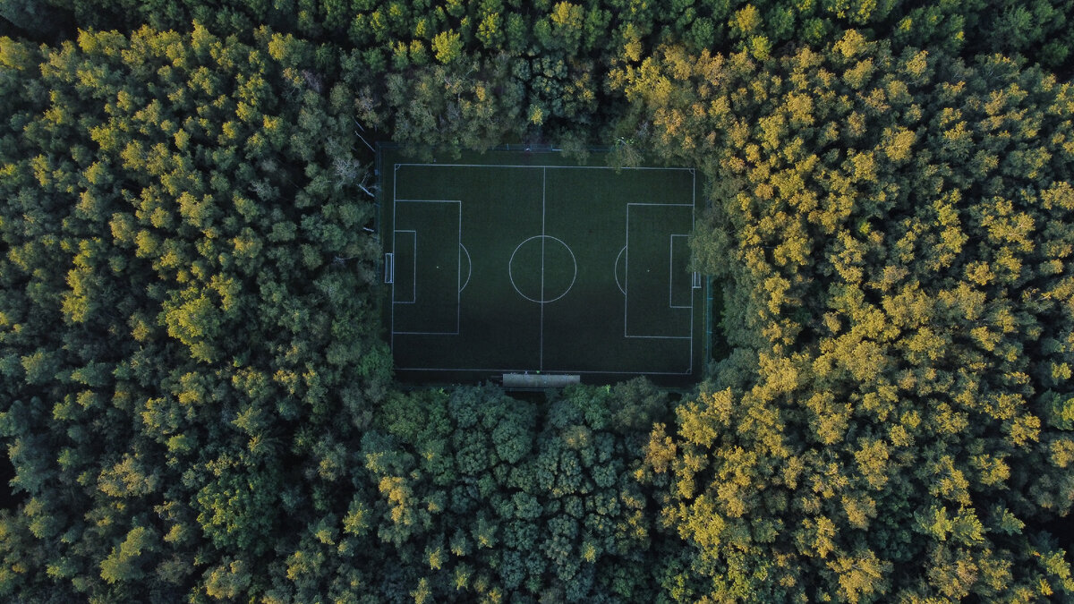 Фото из открытых источников