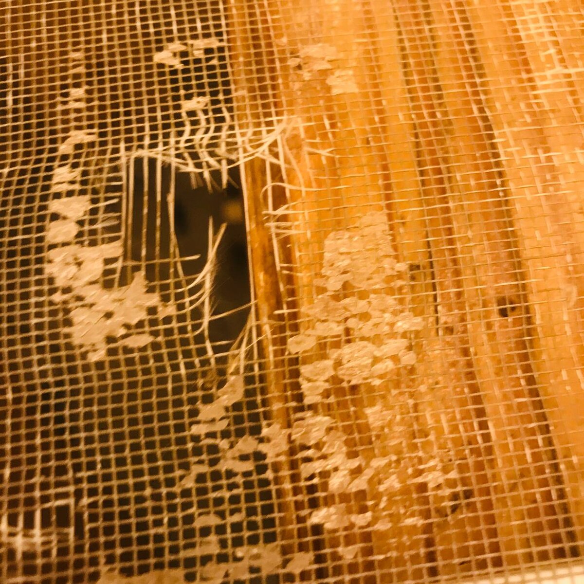 Вышеописанная дыра