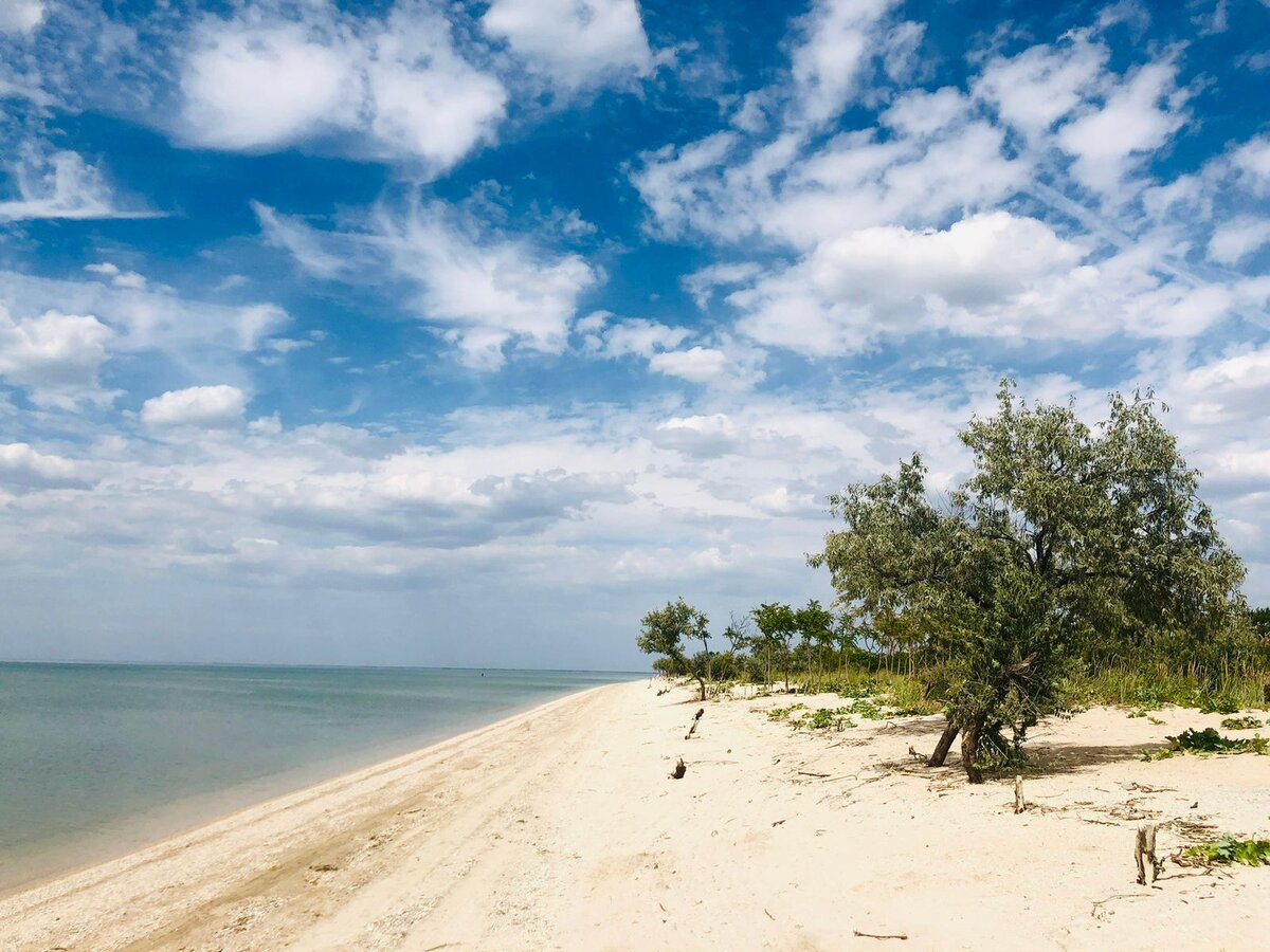 © Фото из личного архива Яны Любчанской