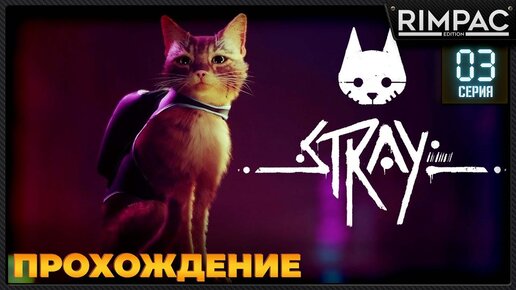 Stray прохождение _ часть 3