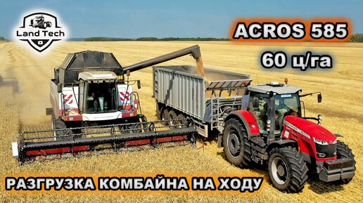 下载视频: ПРАВИЛЬНАЯ УБОРКА УРОЖАЯ: комбайны ACROS 585 и 550 выгружаются на ходу! Озимая пшеница 60 ц/га!