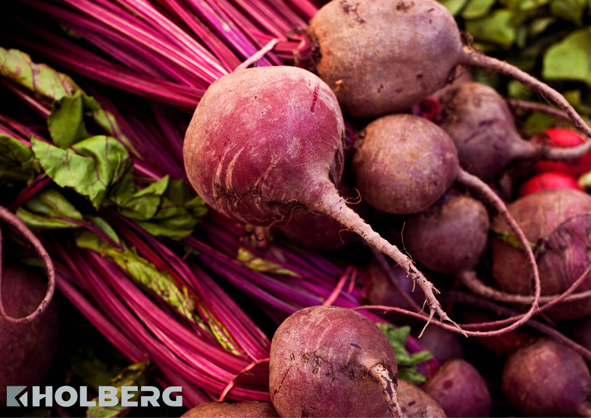 Свежая свекла. Свекла beetroot. Фекла Свекольница. Свекла Наоми. Свекла сорт Фекла