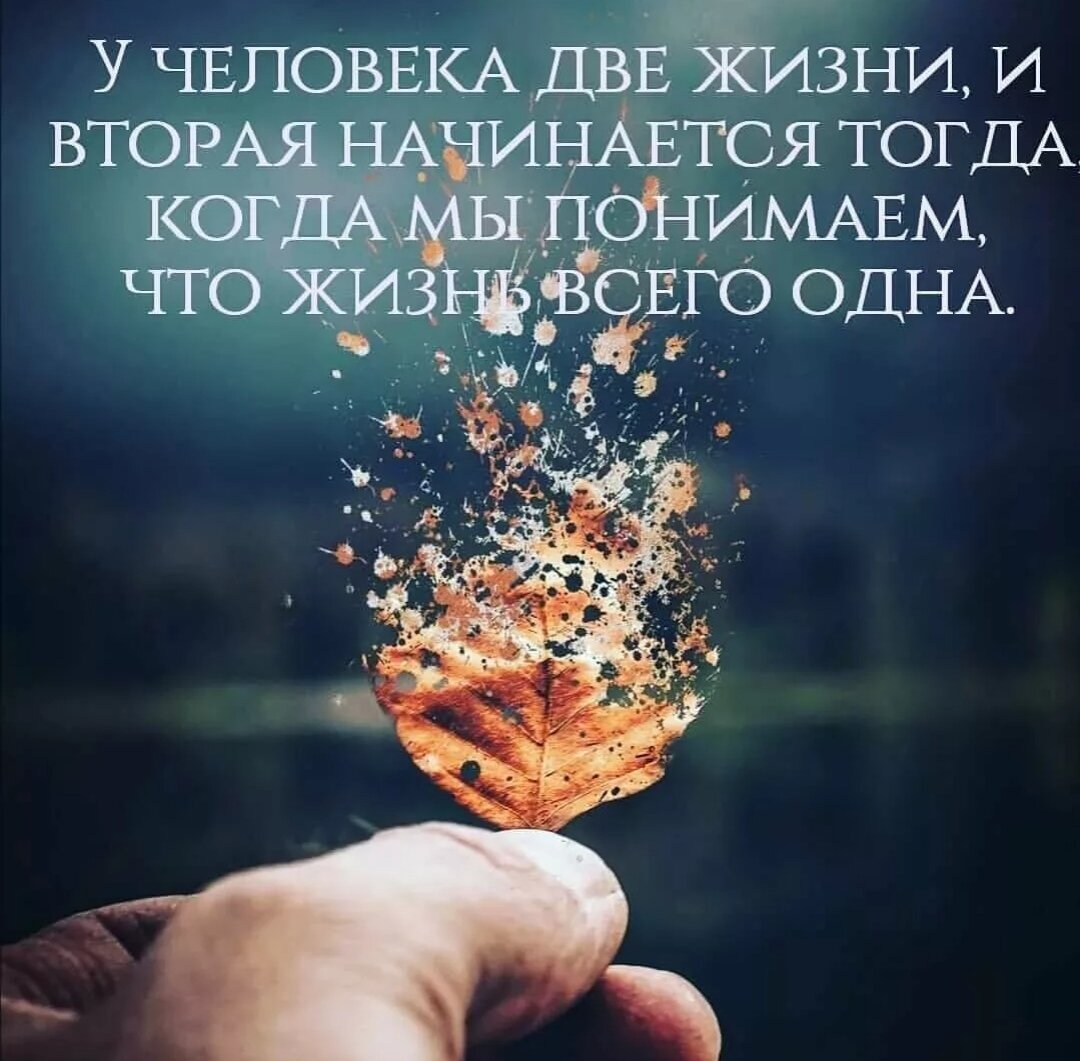 Меня тошнит от таких картинок. (Картинка из открытых источников)