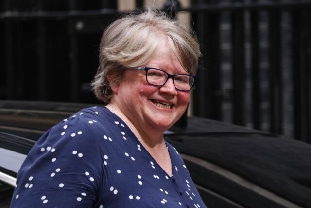    Новый министр здравоохранения Великобритании Терез Коффи. Досье