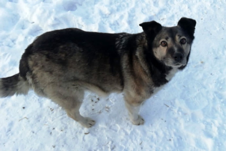    Фото из архива VN.ru