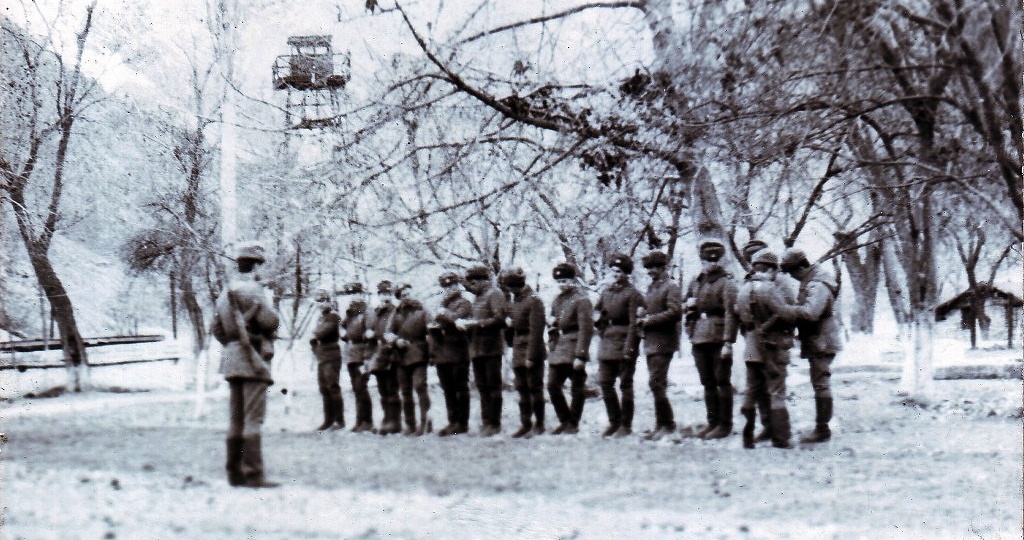 Пограничные орехи.