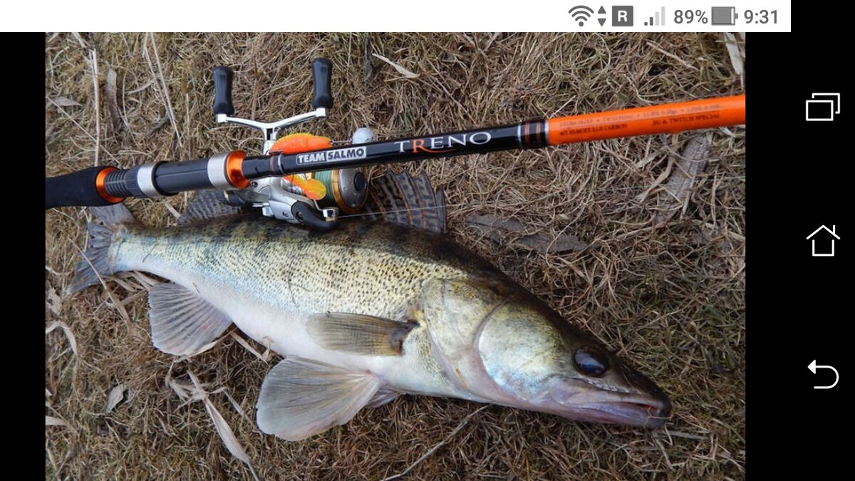 Trolling Weeds for Walleye