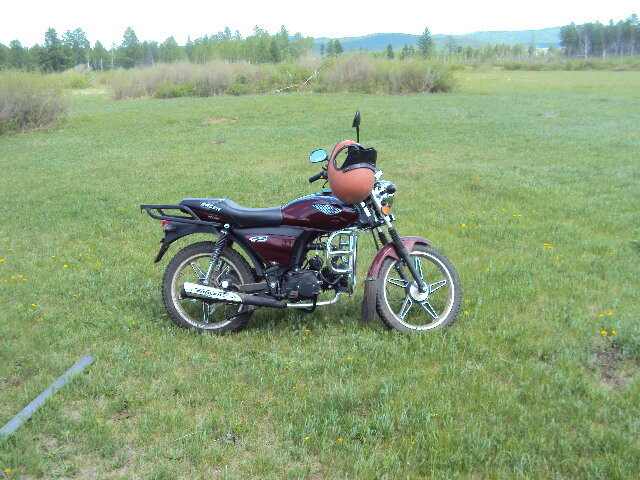 Конец направления, выехал на луга.