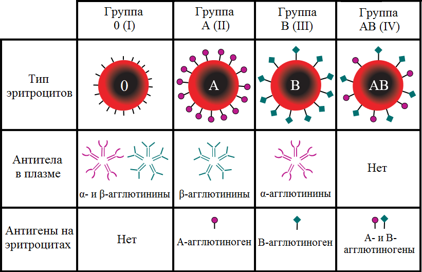 Табличка из Wiki