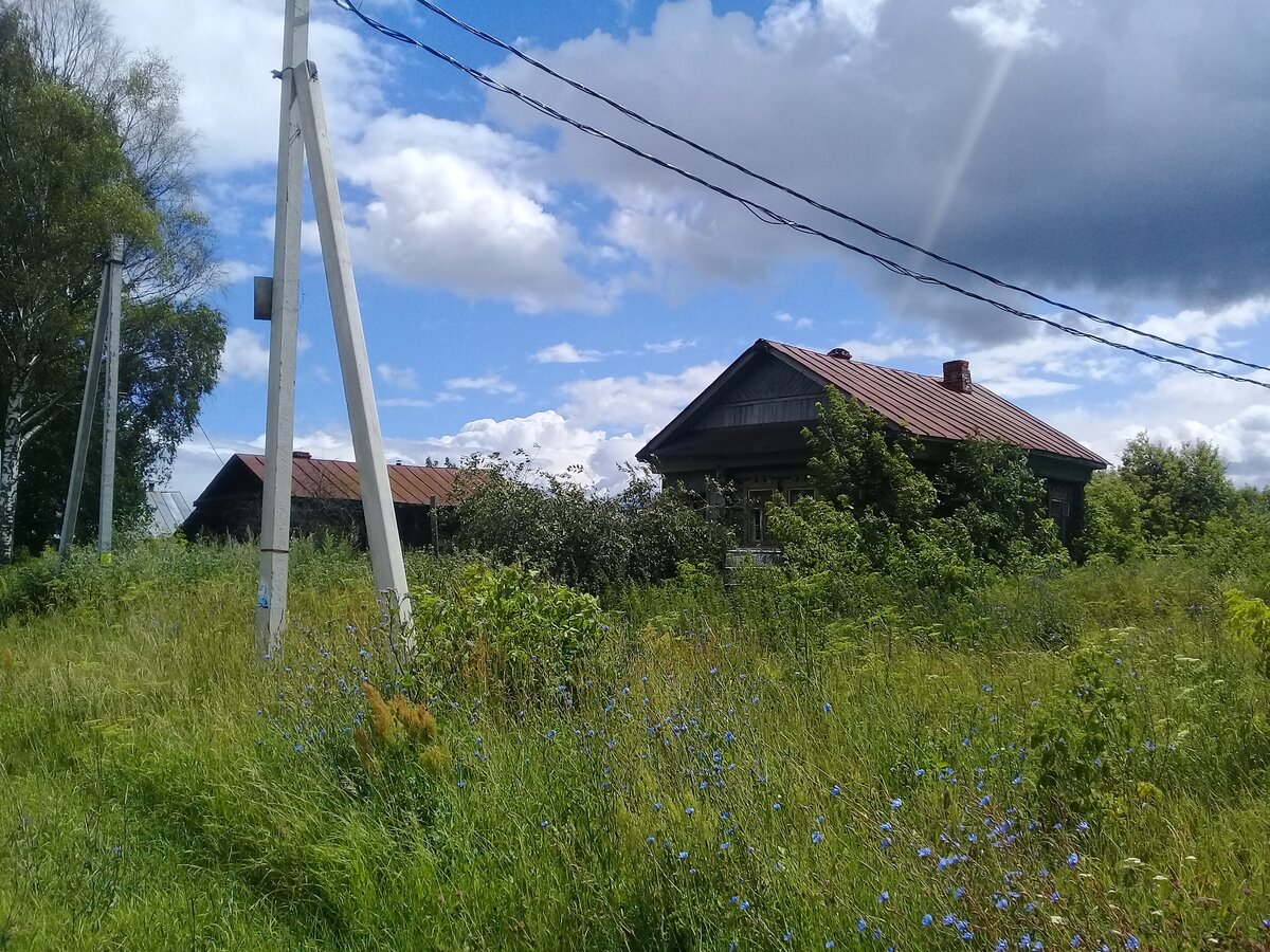 Гришино Владимирская область.