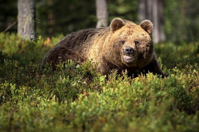 фото из свободных источников