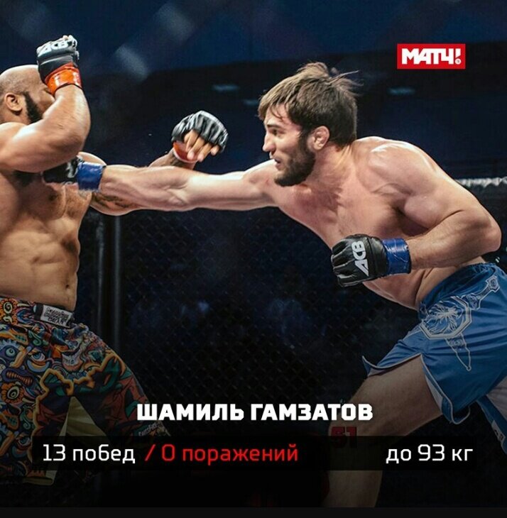 Шамиль Гамзатов. 
