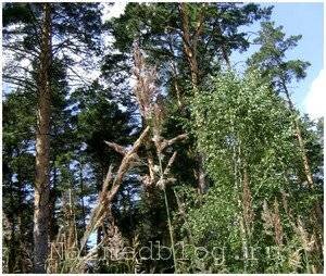 Узнать больше...SlickJump®
