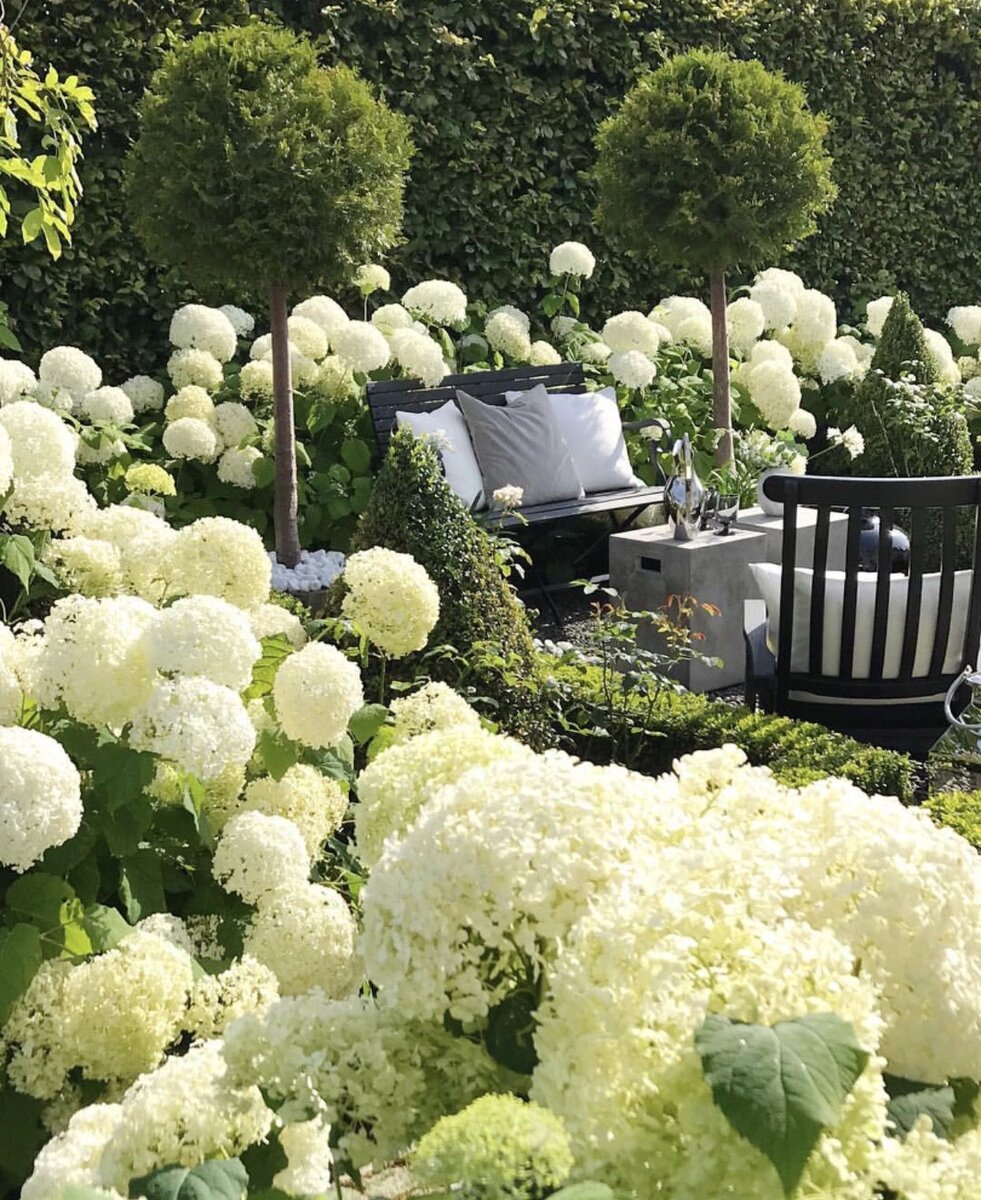 Автор неизвестен