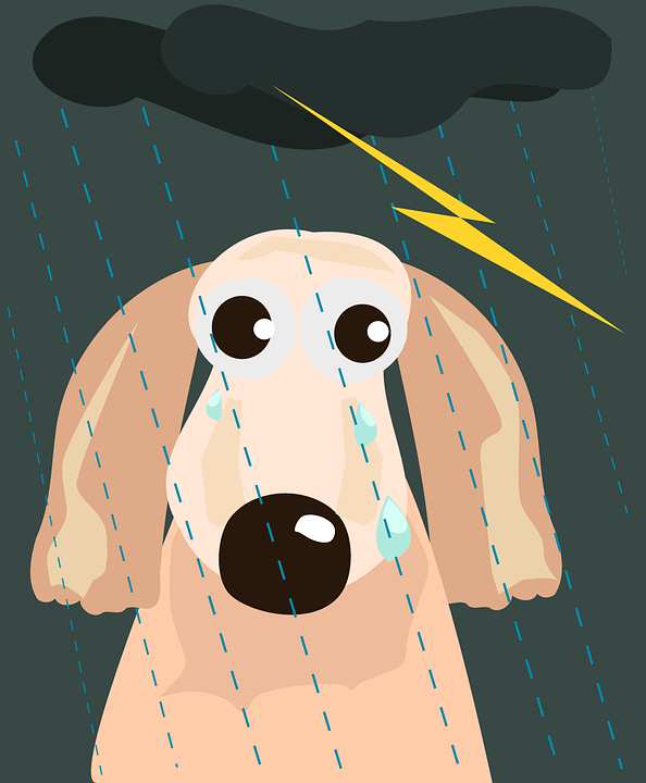 https://pixabay.com/ru/vectors/%D1%81%D0%BE%D0%B1%D0%B0%D0%BA%D0%B0-%D0%B1%D0%B5%D0%B7%D0%B4%D0%BE%D0%BC%D0%BD%D1%8B%D0%B5-%D0%BE%D1%81%D0%B2%D0%B5%D1%82%D0%BB%D0%B5%D0%BD%D0%B8%D0%B5-%D0%B4%D0%BE%D0%B6%D0%B4%D1%8C-160561/ 