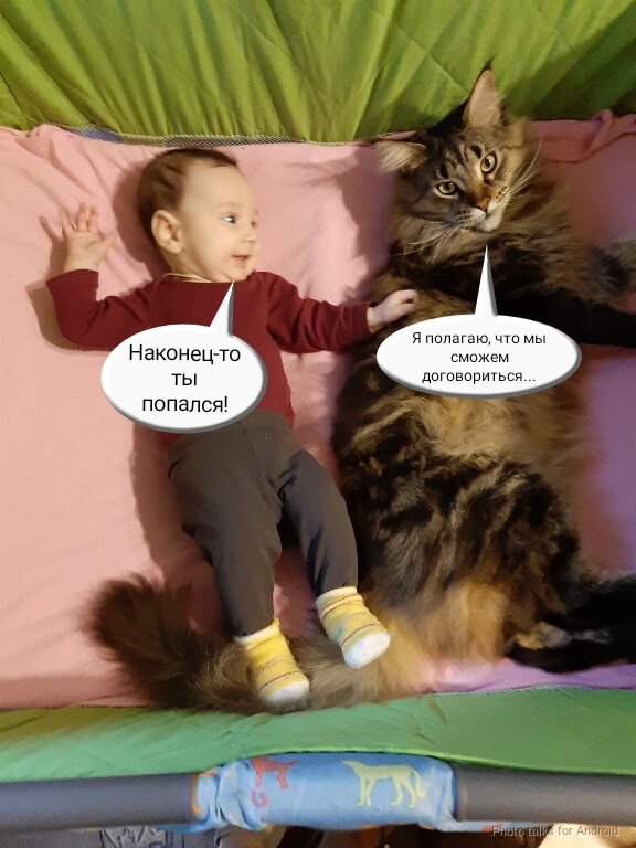 Сопротивление бесполезно 