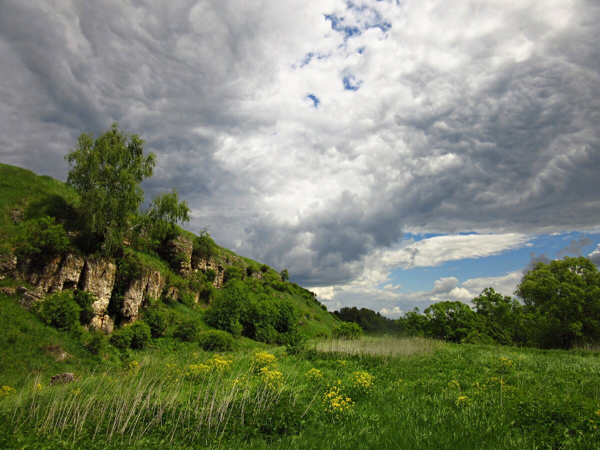 Красногорье тульская область карта