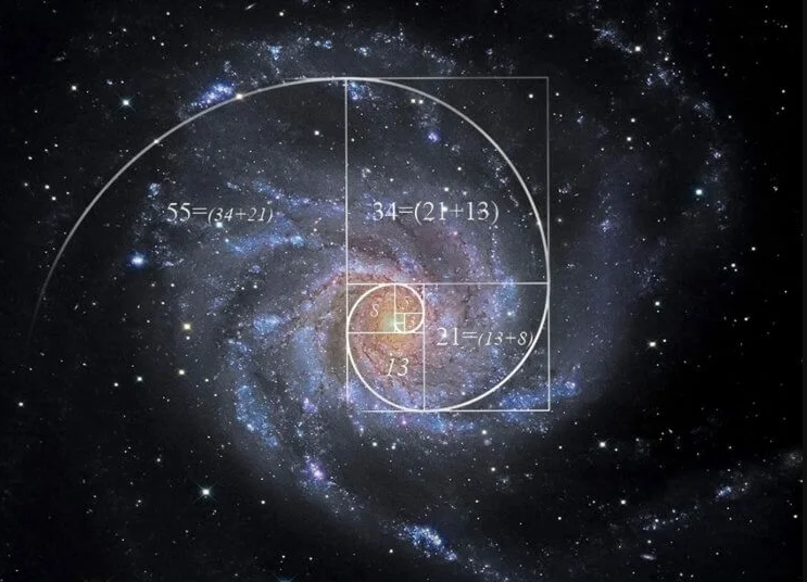 Числа космоса. Число Фибоначчи Золотая спираль. Число Фибоначчи золотое сечение. Спираль Галактики Млечный путь. Числа Фибоначчи в природе.