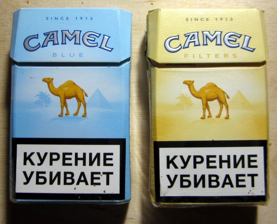 Кэмл. Сигареты Camel Compact 100. Пачка сигарет кэмел желтый. Camel 1913 пачка сигарет. Сигареты кэмел компакт желтый.