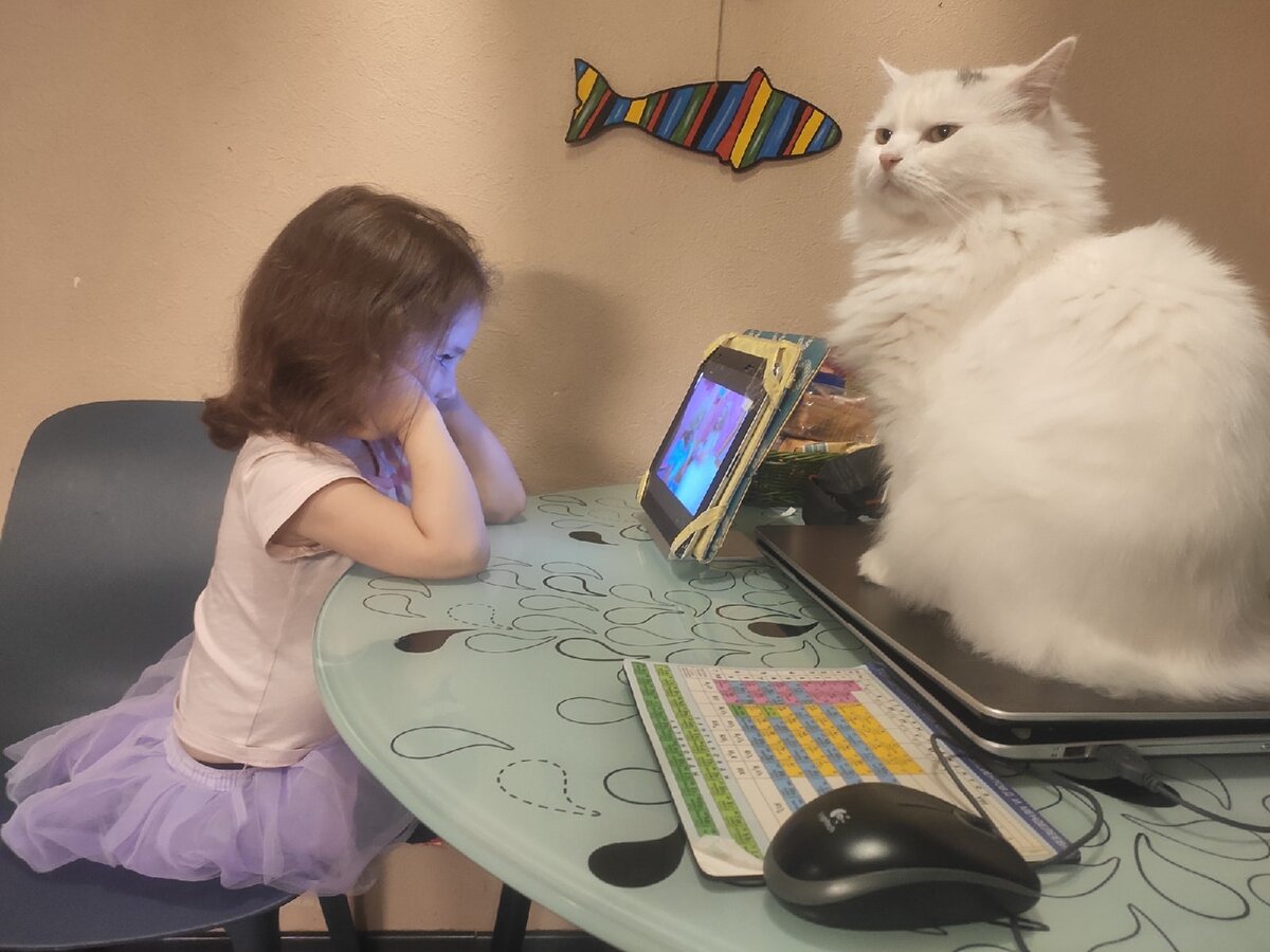 Придавил телом ноутбук хозяина