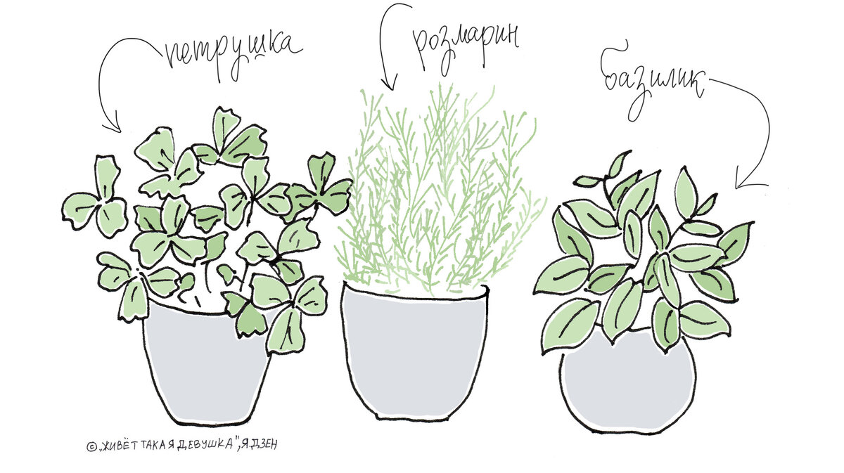 Авторская иллюстрация