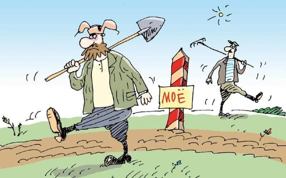 Фото с сайта pulse19.ru