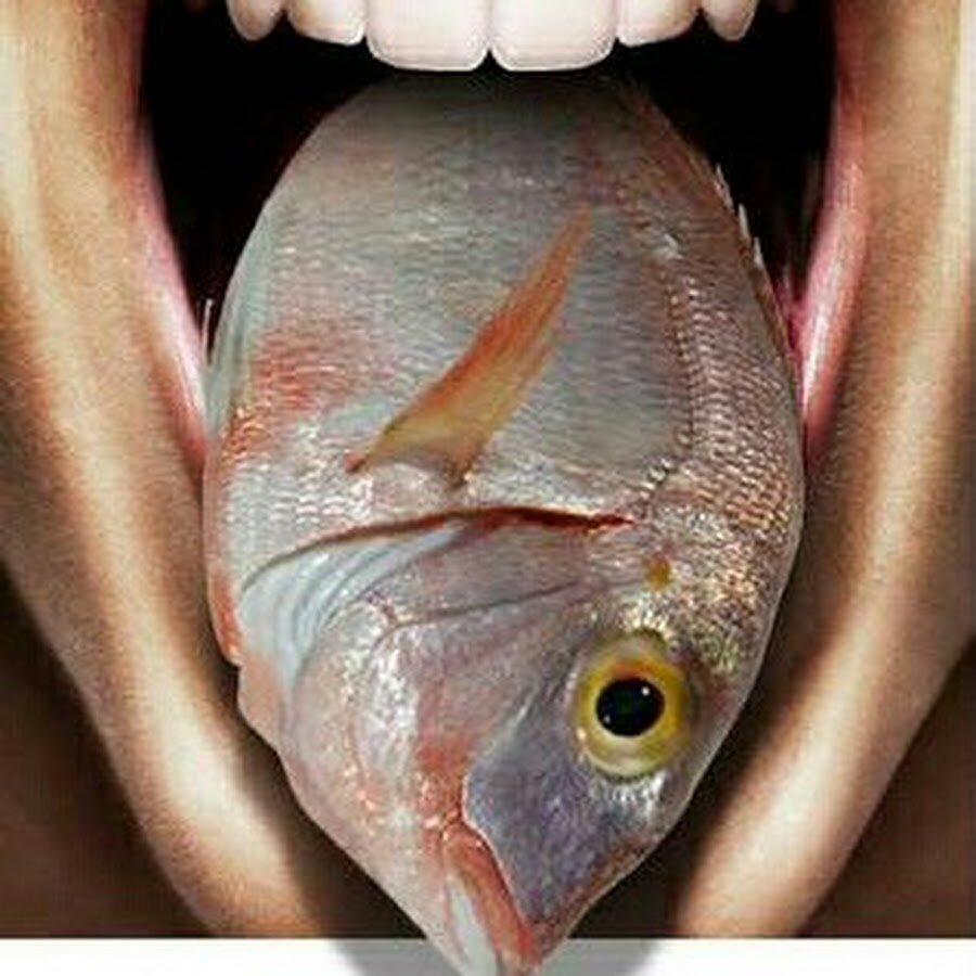 Запах рыбы в носу. Рыба с губами.