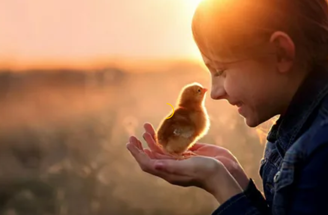 Доброта-это стремление помочь людям, причем не требуя за это благодарности. Это свойство души, позволяющее не оставаться равнодушным к бедам других, оказываться рядом тогда, когда это так необходимо человеку. Доброта- это нежное, заботливое отношение к людям, всему живому на земле. Например: “ Доброта ребенку проявляется в его ласке к кошке или щенку, в его уходу за цветами, доброте нужно учить с самого детства”. Когда мы сталкиваемся с хамством у нас портится настроение, мы говорим, что в мире не хватает доброты. Но каждый из нас может изменить такое положение вещей и сделать мир вокруг себя лучше. Для этого нужно быть чуточку терпимее и самим совершать добрые поступки.