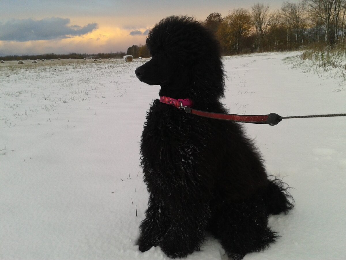 Нам 6 месяцев